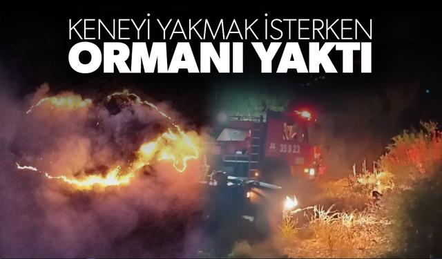 Keneyi yakmak isterken ormanı yaktı