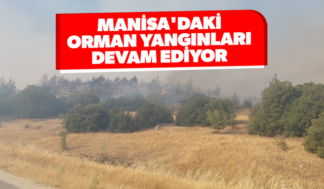 Manisa'daki orman yangınları devam ediyor