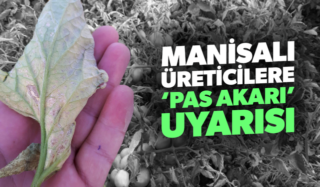 Manisalı üreticilere ‘pas akarı’ uyarısı