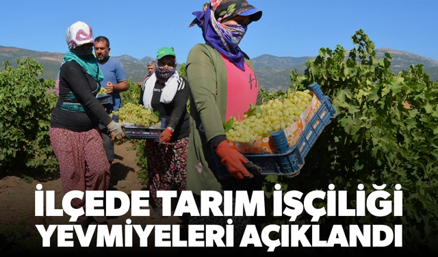 Salihli’de Tarım İşçiliği Yevmiyeleri Açıklandı
