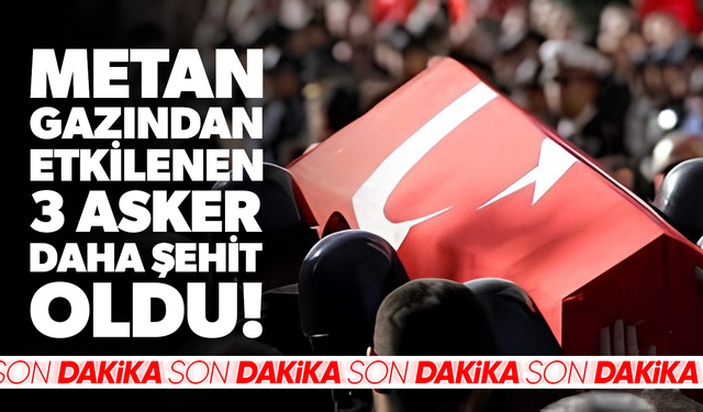 MSB: Şehit sayımız 8'e yükseldi