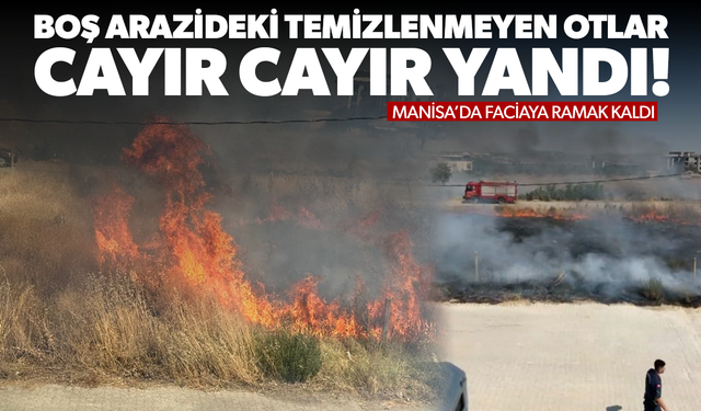 Temizlenmeyen kuru otlar yangına neden oldu