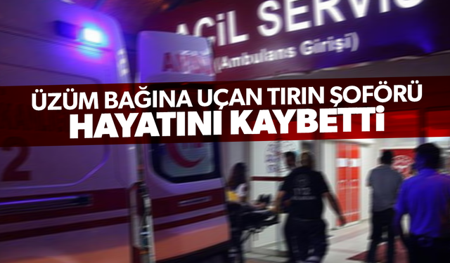 Üzüm bağına uçan tırın şoförü hayatını kaybetti
