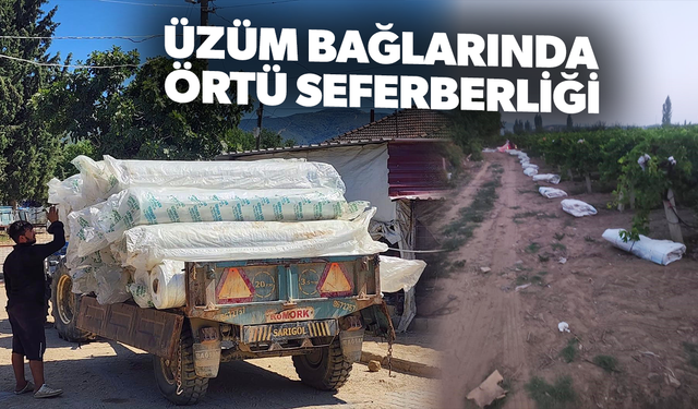 Üzüm bağları doğal afetlere karşı beyaz örtüyle korunuyor