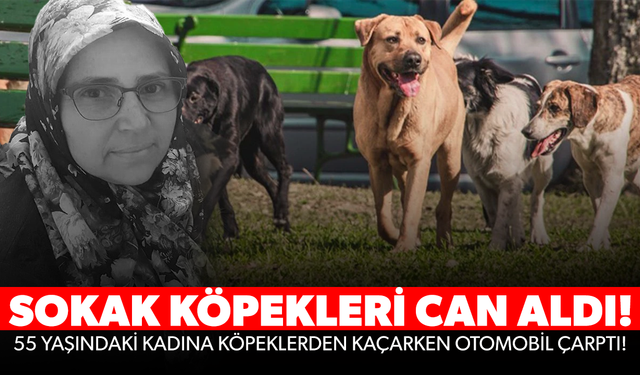 Sokak köpeklerinden kaçarken otomobil çarptı, hayatını kaybetti!