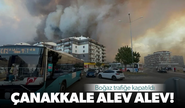 Çanakkale'de orman yangını: Alevler hastaneye yaklaştı