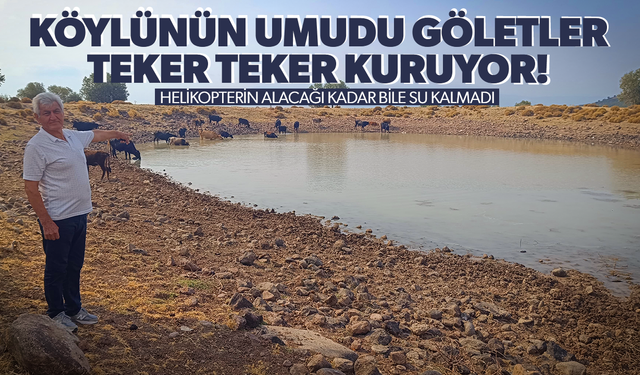 Köylünün umudu göletler bir bir kuruyor