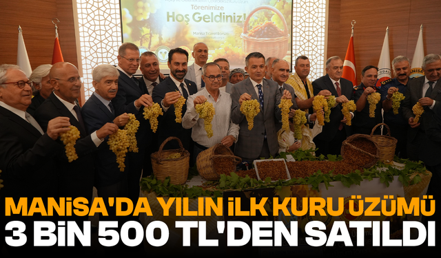 Manisa'da yılın ilk kuru üzümü 3 bin 500 TL'den satıldı