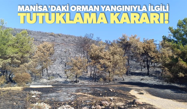 Manisa'daki orman yangınıyla ilgili 1 kişi tutuklandı