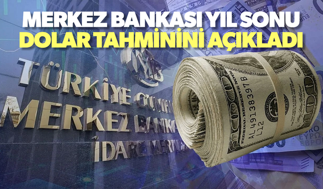 Merkez Bankası yıl sonu dolar tahminini açıkladı