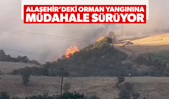 Orman yangınına müdahale sürüyor