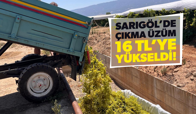 Sarıgöl’de çıkma üzüm 16 TL’ye yükseldi