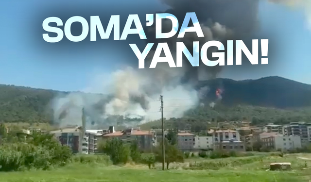 Soma'da orman yangını! Ekipler müdahale ediyor...