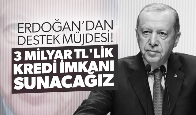 Cumhurbaşkanı Erdoğan'dan destek müjdesi: 3 milyar TL'lik kredi imkanı sunacağız