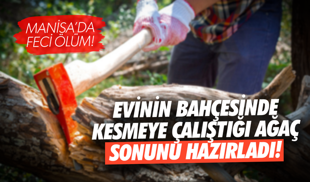 Bahçesindeki ağacı kesmek isterken feci şekilde can verdi