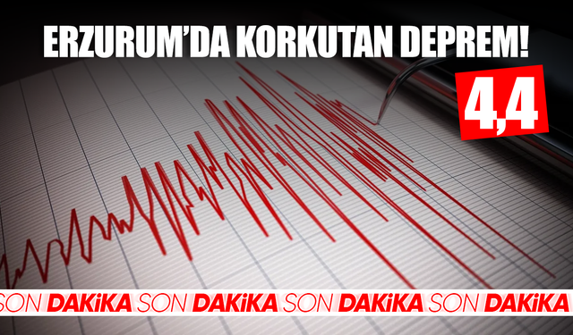 Erzurum'da korkutan deprem!