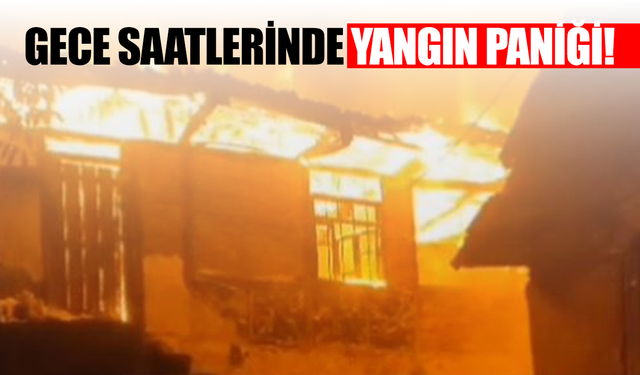 Manisa'da gece saatlerinde yangın paniği