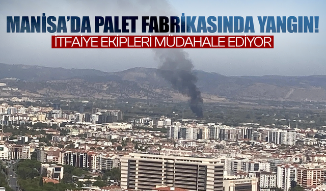 Manisa’da Palet Fabrikasında Yangın: İtfaiye Ekipleri Müdahale Ediyor