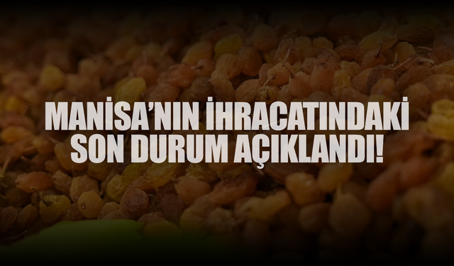 İhracatta elektronik düşüşte, iklimlendirme yükselişte...