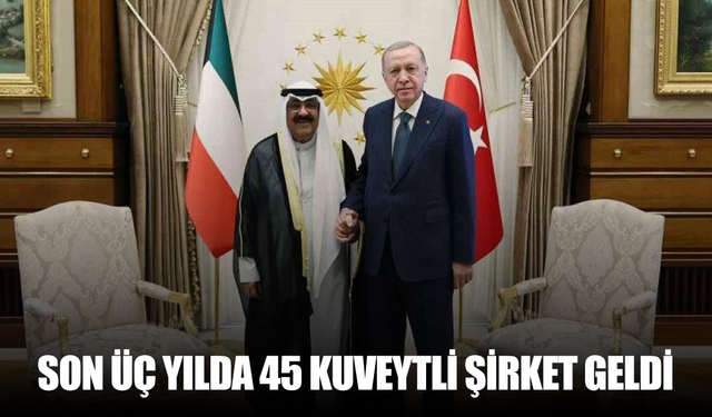 Son üç yılda 45 Kuveytli şirket geldi