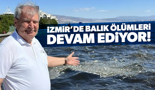 İzmir Körfezi’nde Balık ölümleri yine başladı