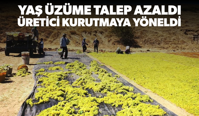 Yaş üzüme talep azaldı, üretici kurutmaya yöneldi