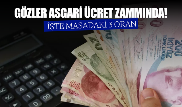 Asgari ücret zammında en güçlü 3 oran...