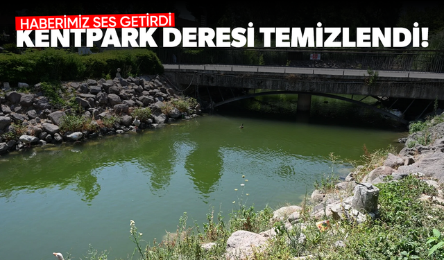 Haberimiz ses getirdi: Kentpark deresi temizlendi!