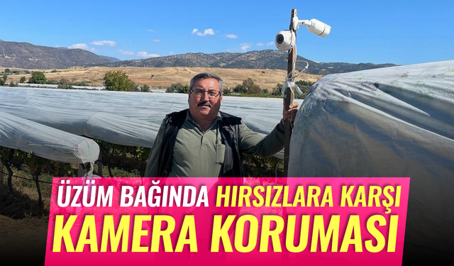 Üzüm bağını hırsızlara karşı kamera ile koruyor