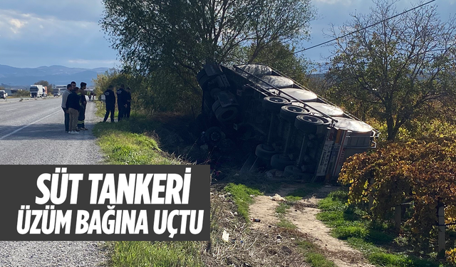 Alaşehir’de süt tankeri üzüm bağına uçtu