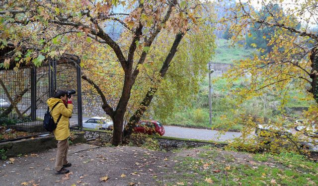 İzmirlİ fotoğrafçılar Manisa'ya hayran kaldı