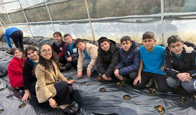 Gördes'te çilekler engelliler için yetişecek