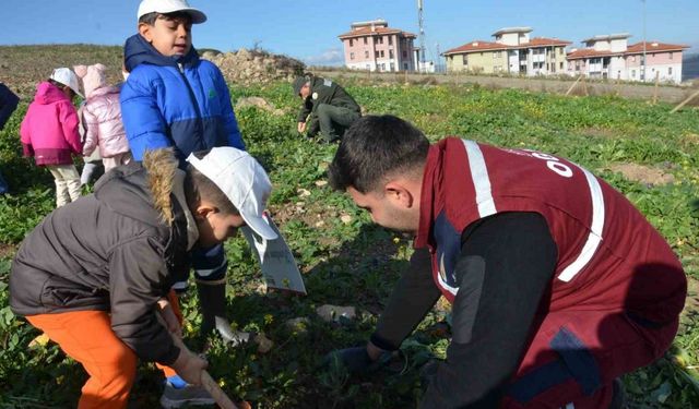 Manisa’da yanan alanlara 100 bininci fidan dikildi