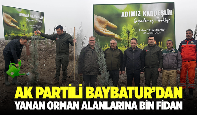 AK Partili Baybatur’dan yanan orman alanlarına bin fidan
