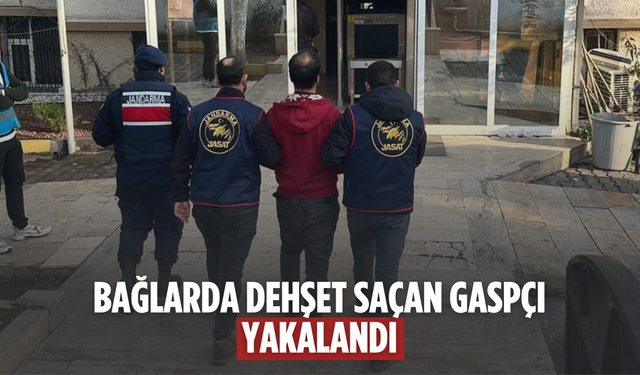 Çiftçilerin korkulu rüyası gaspçı jandarmadan kaçamadı