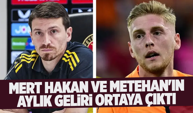 Mert Hakan ve Metehan'ın aylık geliri ortaya çıktı