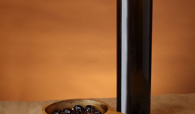 Manisa'nın kültürel değerleri kadraja yansıdı