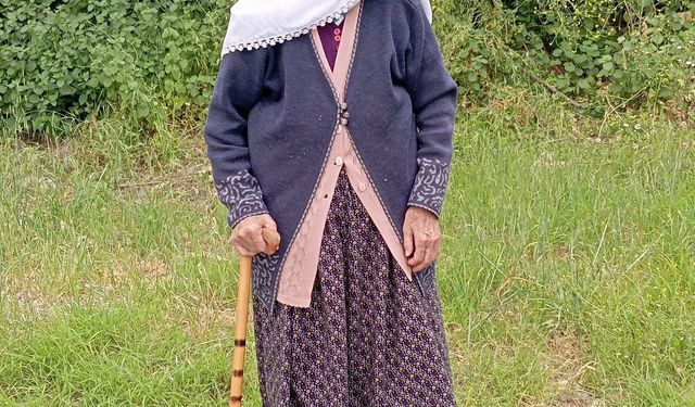 Kırkağaç'ın tarihi çınarı 112 yaşında hayatını kaybetti