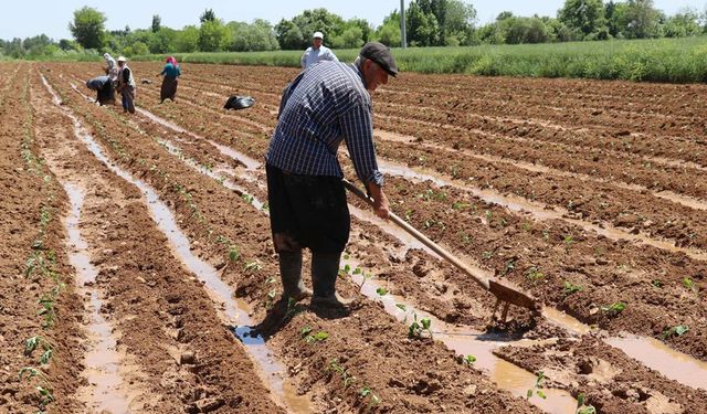 Büyükşehir'den çiftçiye destek eli