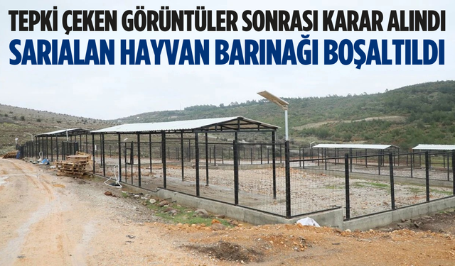 Tepki çeken görüntüler sonrası Sarıalan Hayvan Barınağı boşaltıldı