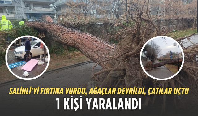 Salihli'yi fırtına vurdu, ağaçlar devrildi, çatılar uçtu