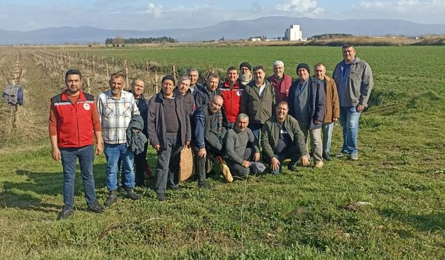 Salihli’de üreticilere budama ve gübreleme eğitimi