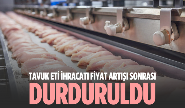 Tavuk eti ihracatı fiyat artışı sonrası durduruldu