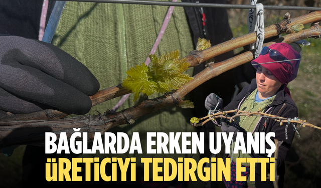 Bağlarda erken uyanış korkutuyor