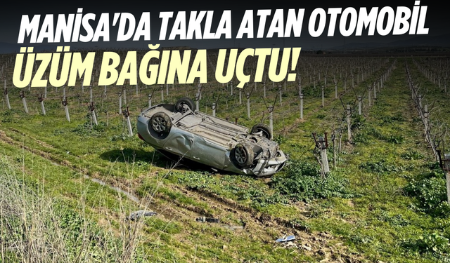 Manisa'da takla atan otomobil üzüm bağına uçtu