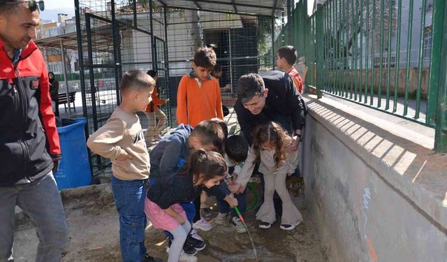 Manisa'da okul bahçeleri bağa dönüşüyor