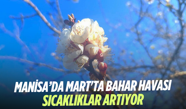 Manisa’da Mart'ta bahar havası