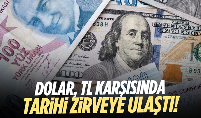 Dolar, TL karşısında tarihi zirveye ulaştı