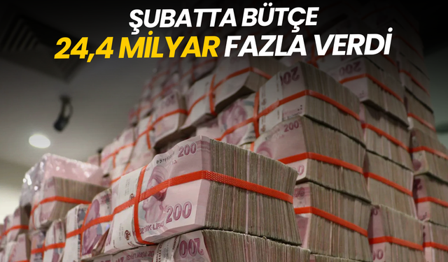 Şubatta bütçe 24,4 milyar fazla verdi