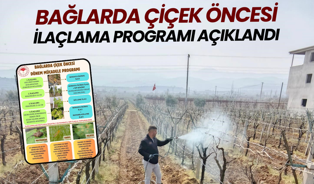 Bağlarda çiçek öncesi ilaçlama programı açıklandı
